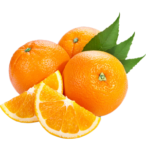 Orange (3 pcs pack)